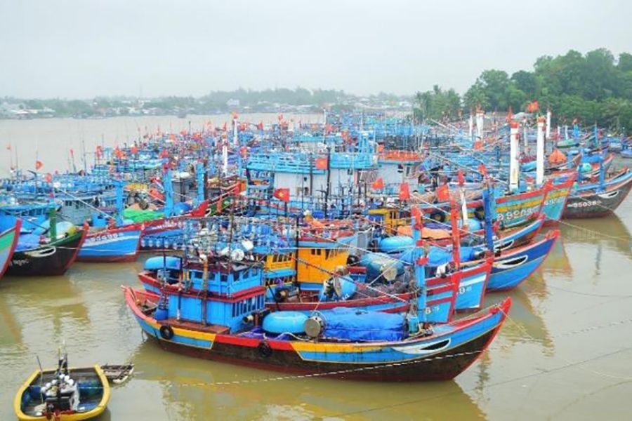 Khám phá vẻ đẹp chân chất tại cảng cá Phú Lạc Phú Yên