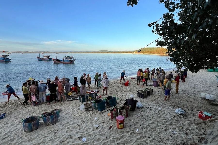 Tìm hiểu về cảng cá Phú Lương Phú Yên