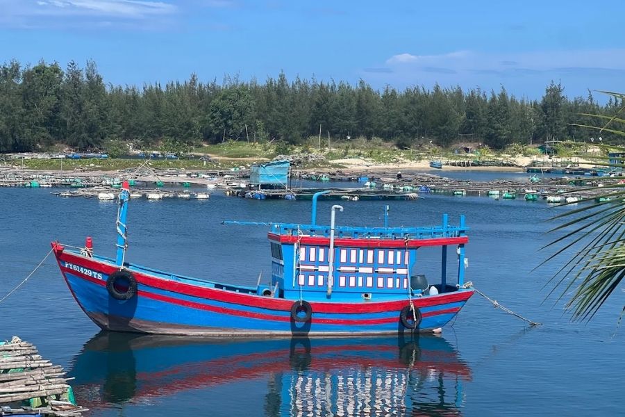 Tìm hiểu về cảng cá Phú Lương Phú Yên