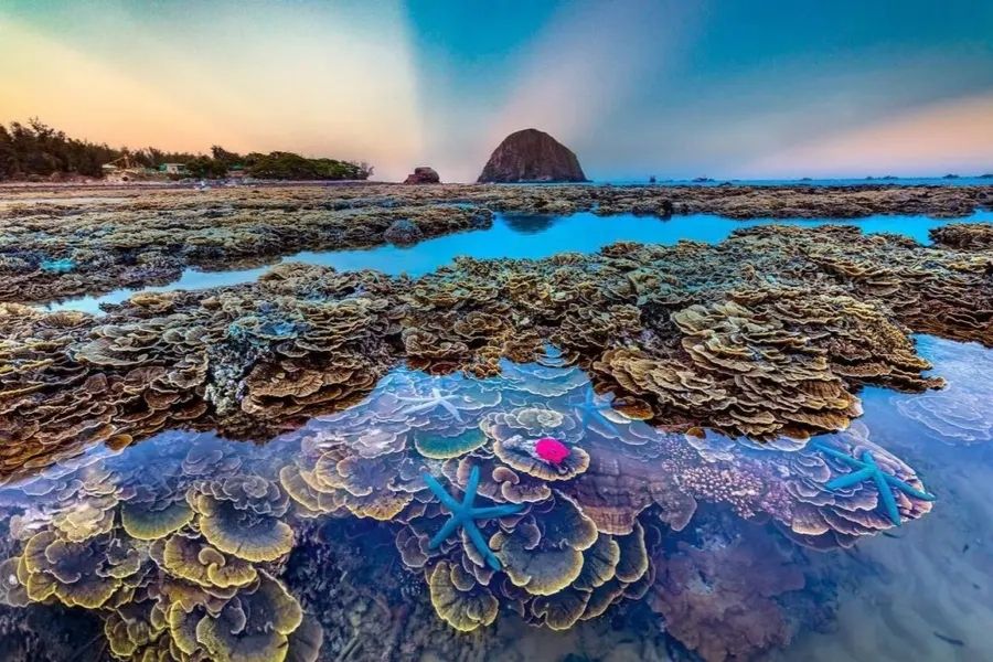 Bãi biển Biển Yến Phú Yên