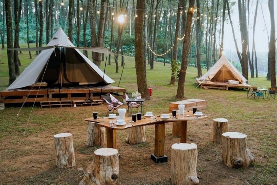 Đồi thông Nho Quan - hồ Đồng Chương