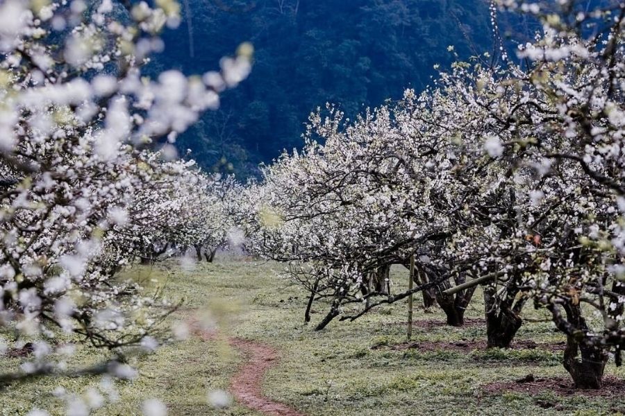 Du lịch mùa đông ở Mai Châu