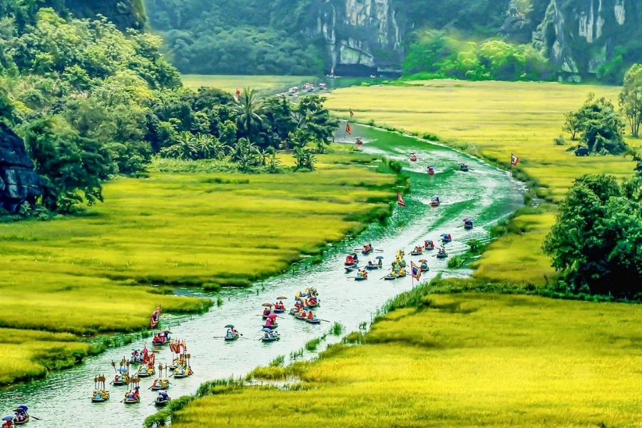 Du thuyền trên sông Ngô Đồng