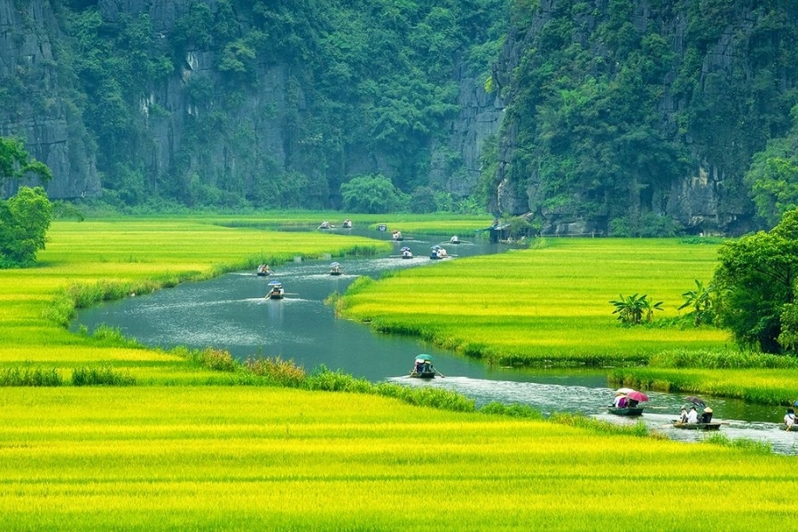 Du lịch Tam Cốc - Bích Động Ninh Bình