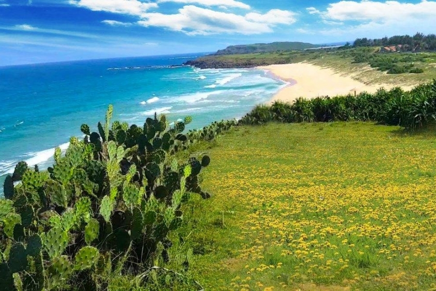 Du lịch Phú Yên tháng 3