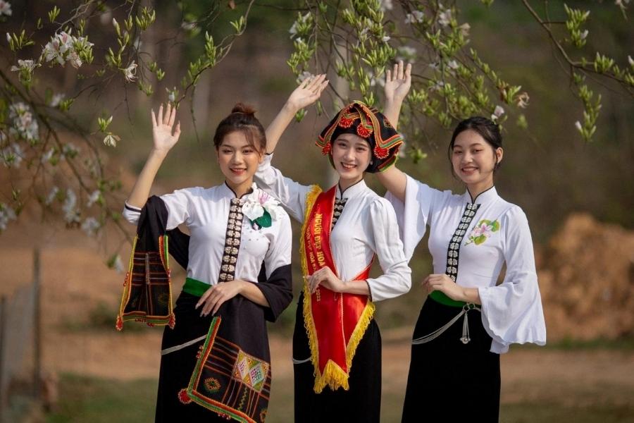 Trải nghiệm hoa ban Điện Biên