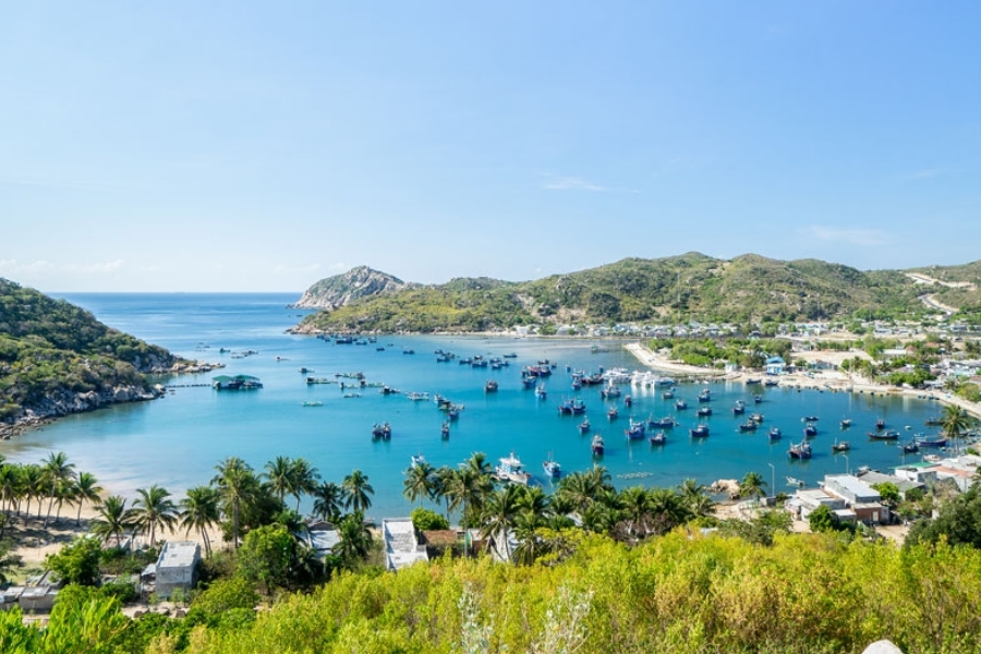 Check-in sống ảo trên vịnh Vĩnh Hy