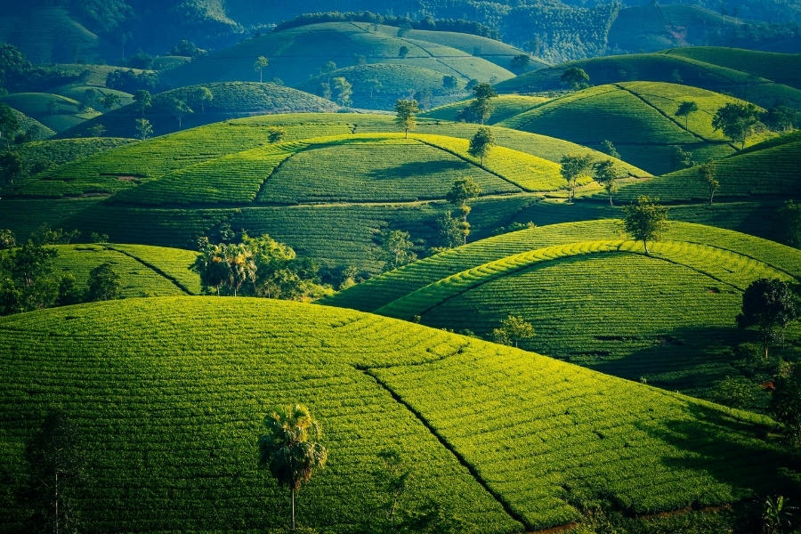 Địa điểm du lịch tháng 9: Mộc Châu Sơn La