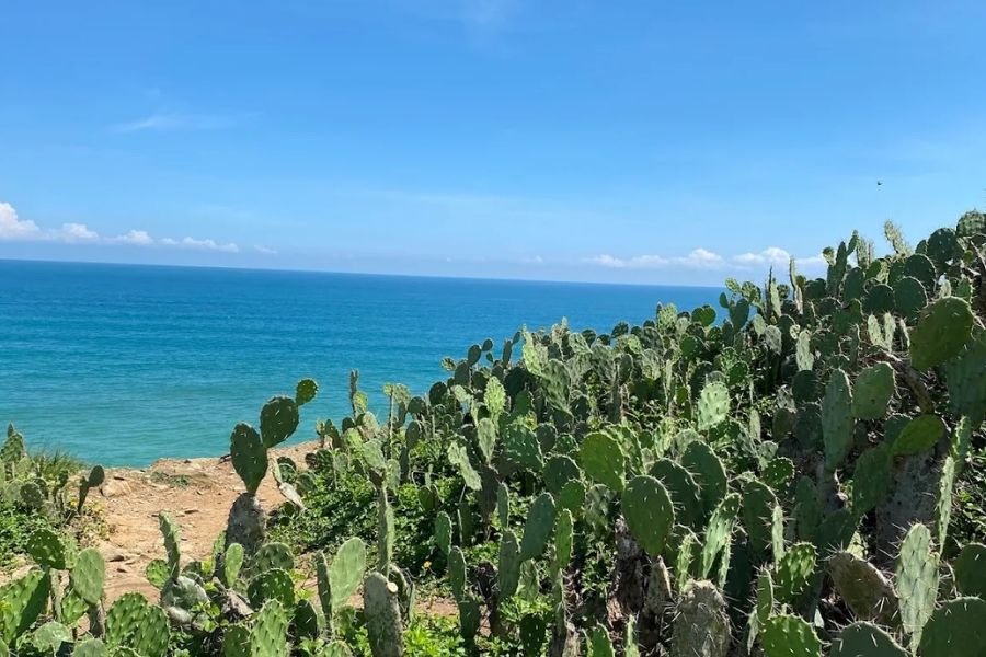 Khám phá Gành Ông Bãi Xép Phú Yên