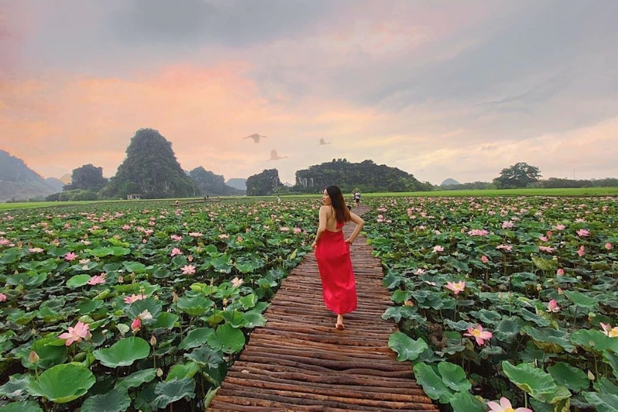 Chiêm ngưỡng Ao sen với đường trúc gần Hang Múa