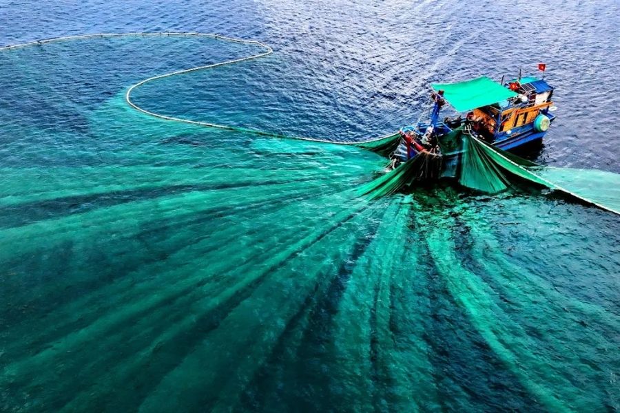 Những hoạt động thú vị tại Hòn Yến