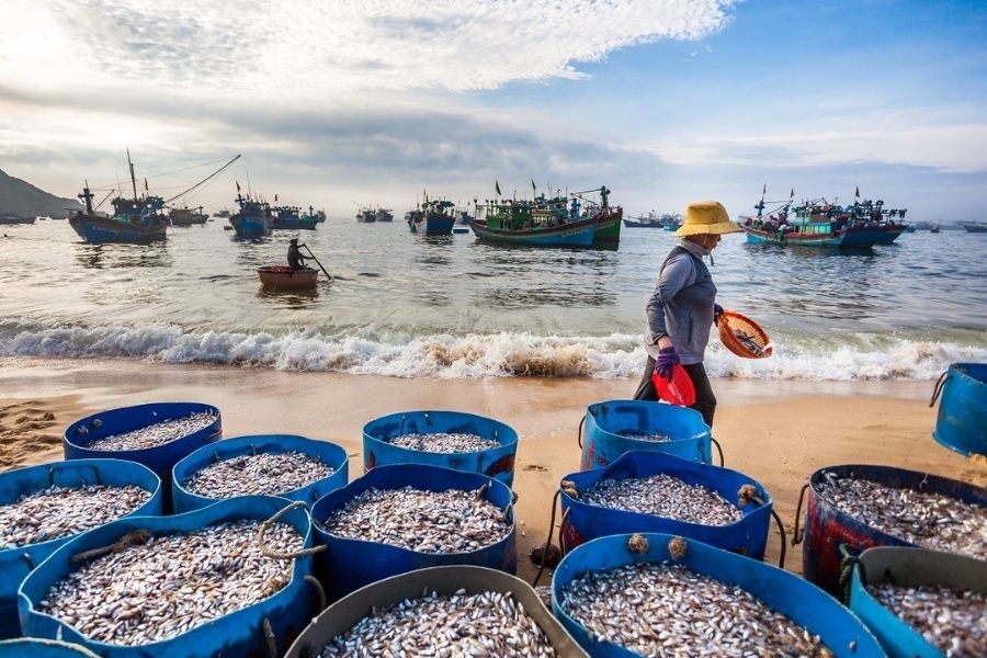 Thưởng thức hải sản tươi ngon ở Mũi Ngọc Quảng Ninh