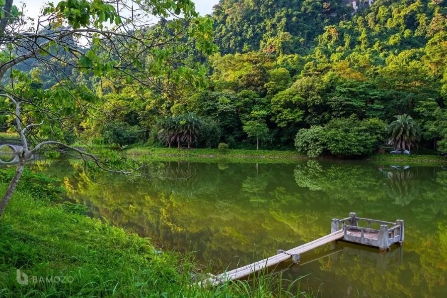 Hồ Yên Quang ở rừng Cúc Phương