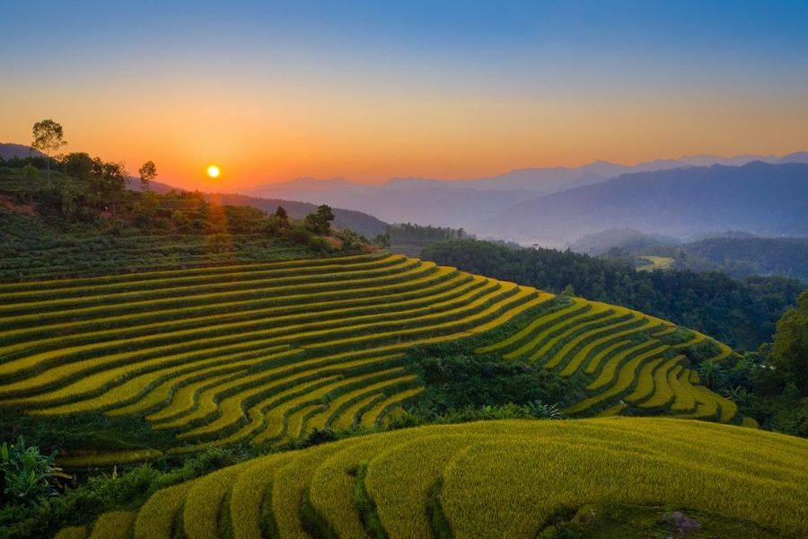 Ruộng bậc thang Cao Thắng Bình Liêu