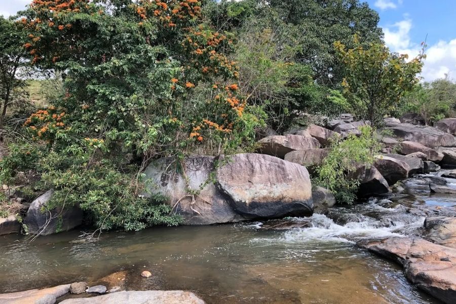 Khám phá Suối Mơ Đa Lộc Phú Yên