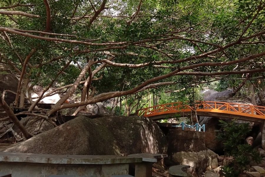 Du lịch suối Mơ Phú Yên