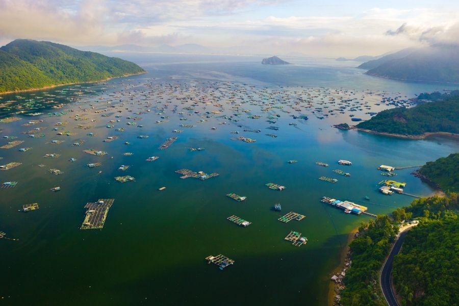 Vịnh Vũng Rô Phú Yên