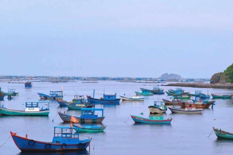 Khám phá vịnh Xuân Đài Phú Yên