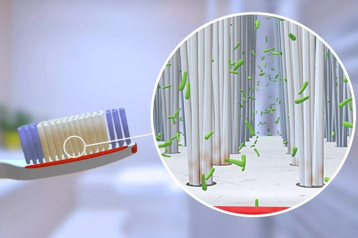 vi khuẩn tích tụ