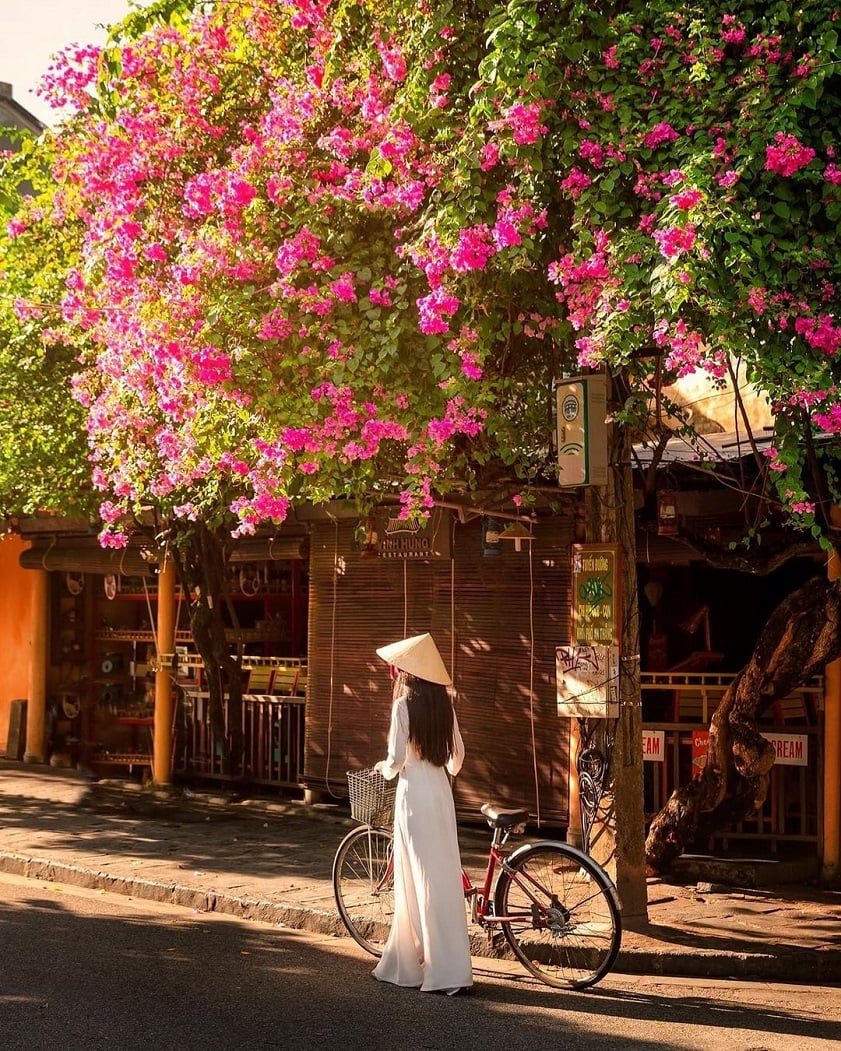 Hội An mùa nào cũng đẹp