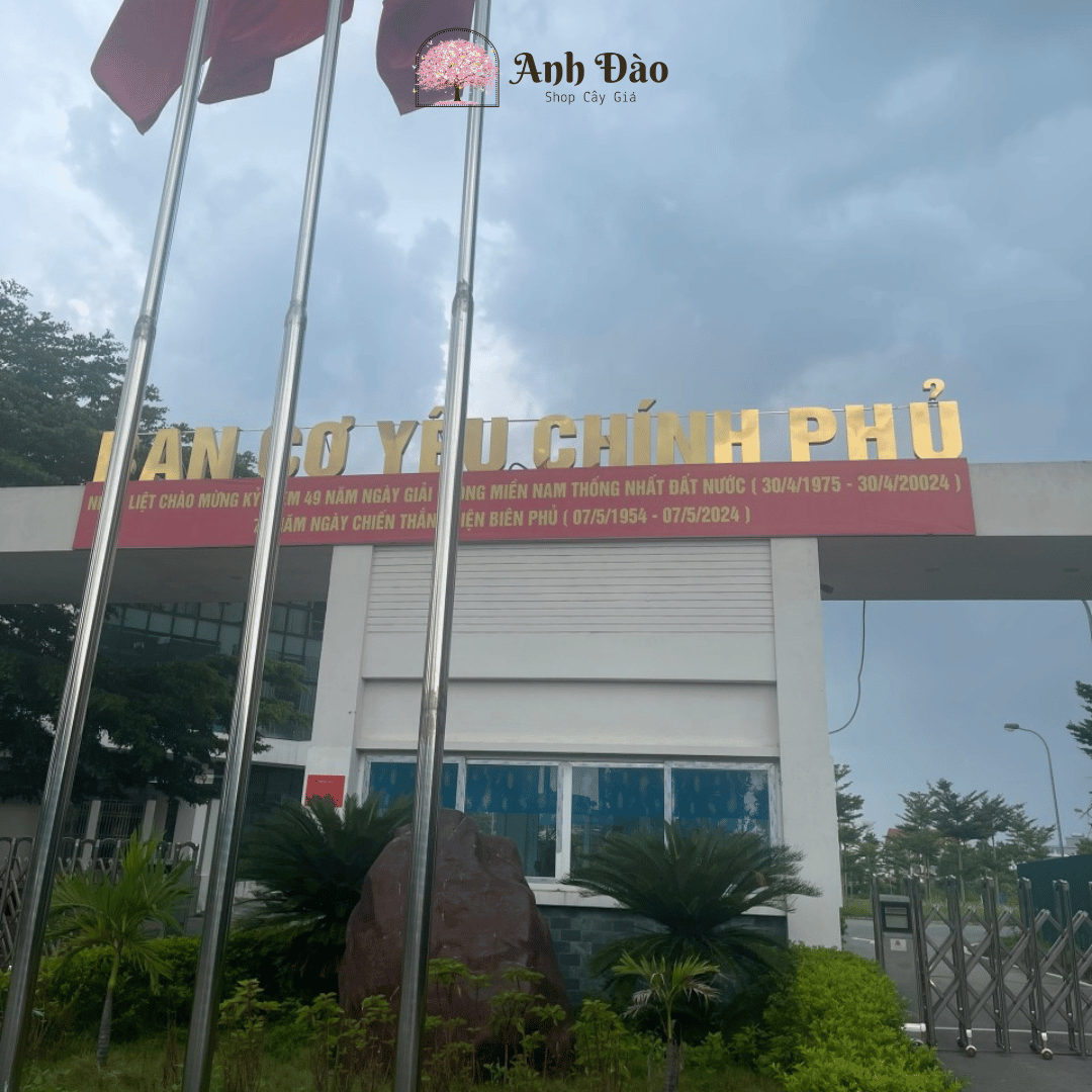 chau-lan-ho-diep-gia-tai-ban-co-yeu-chinh-phu-2