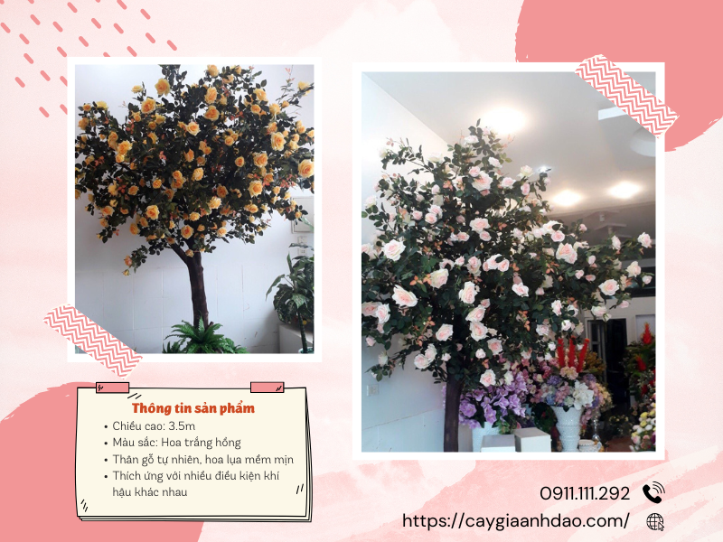 du-an-cay-hoa-hong-gia