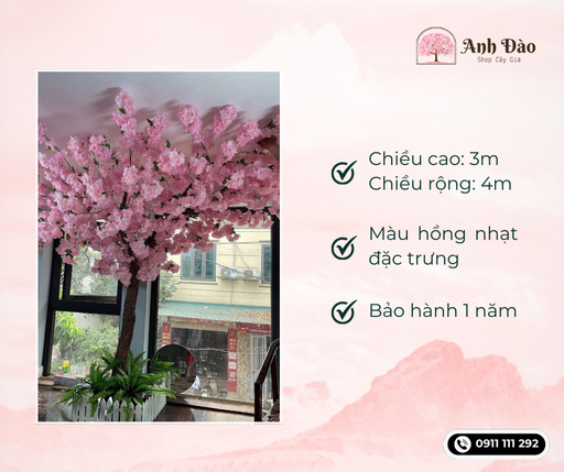 thi-cong-cay-anh-dao-gia-1