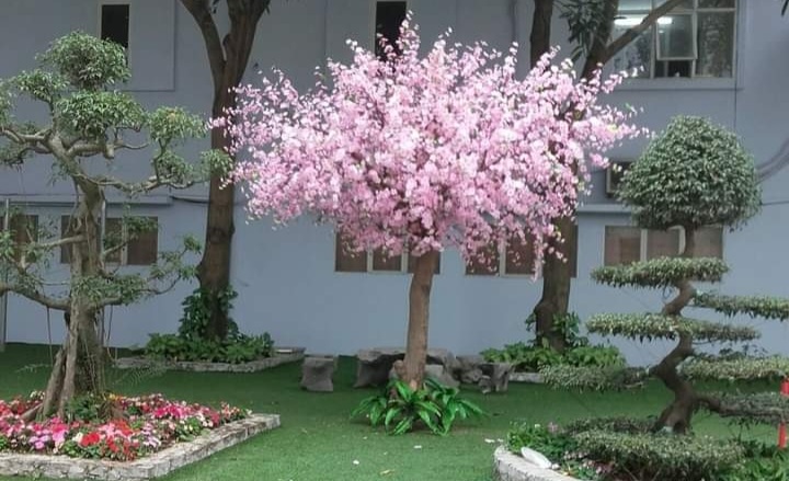 thi-cong-cay-dao-gia