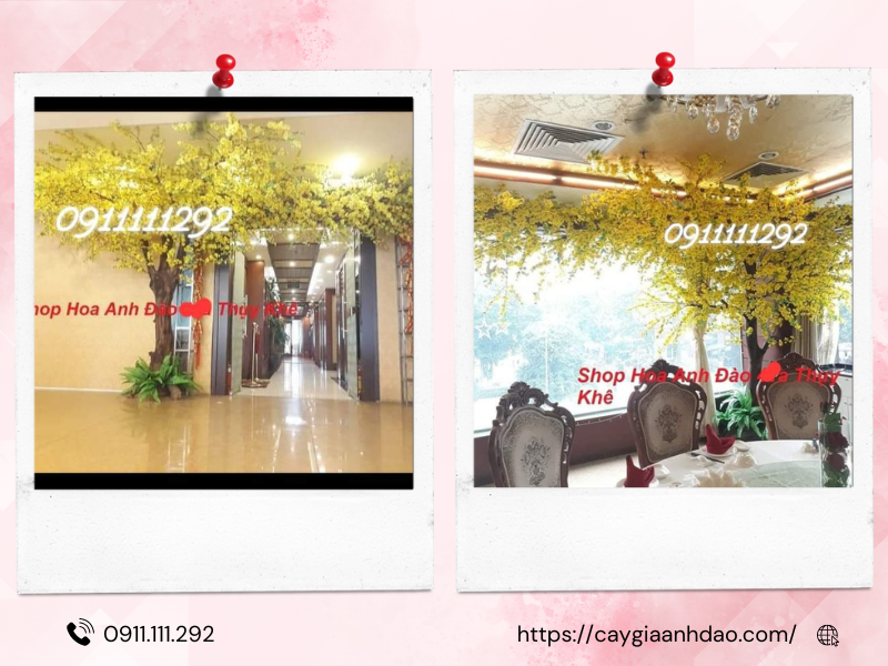 thi-cong-cay-hoa-mai-vang