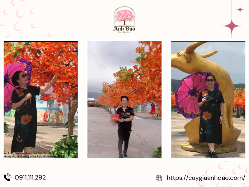 thi-cong-cay-la-phong-gia