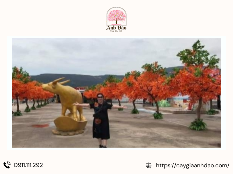 thi-cong-cay-la-phong-gia