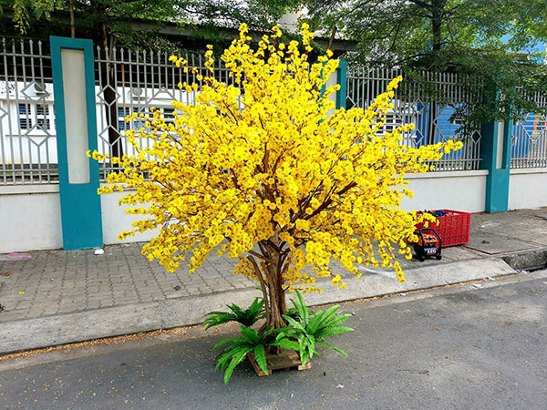 thi-cong-cay-mai-gia