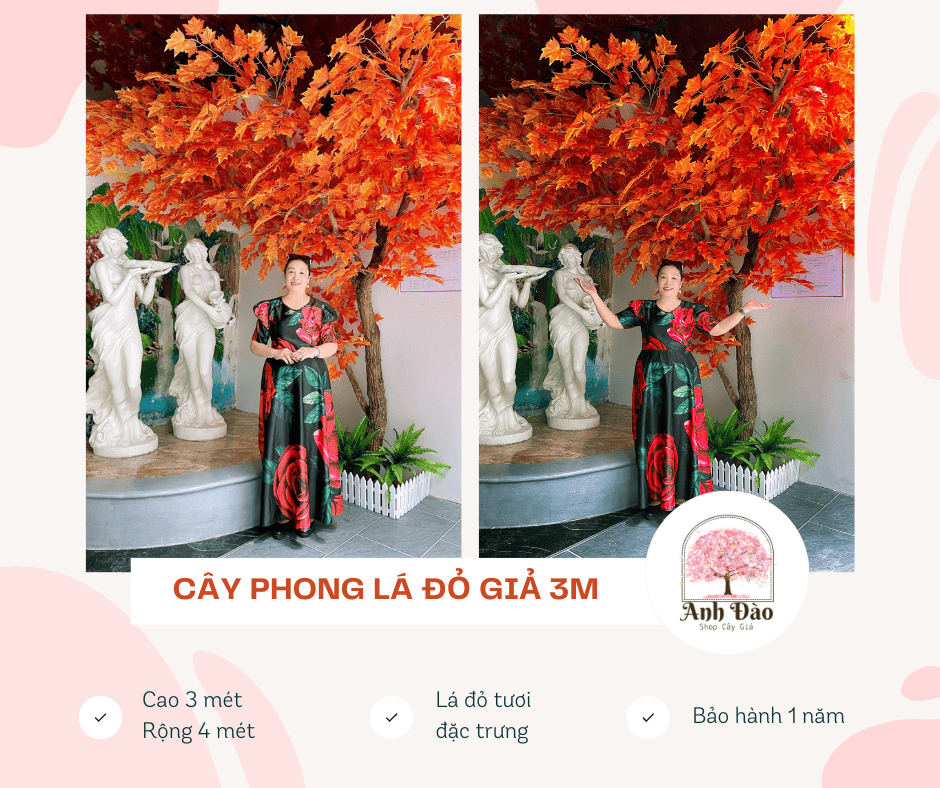 thi-cong-cay-phong-la-do-gia-1