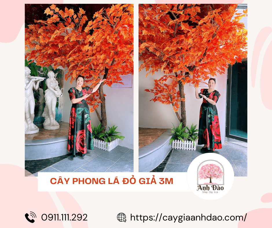 thi-cong-cay-phong-la-do-gia-2