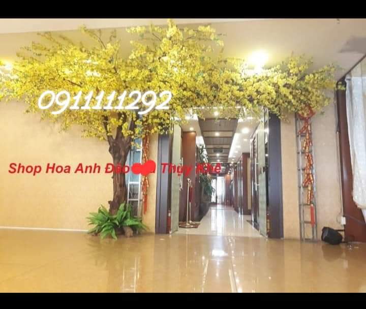 thi-cong-cay-mai-vang-gia