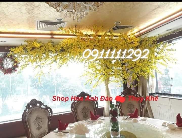 thi-cong-cay-mai-vang-gia