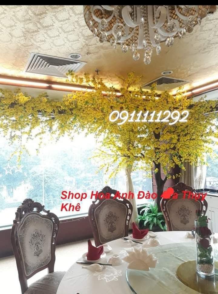 thi-cong-cay-mai-vang-gia