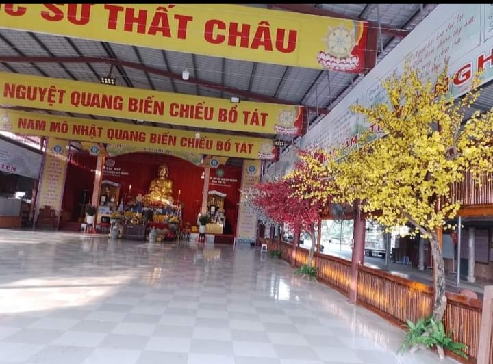 thi-cong-cay-mai-vang-gia-tai-chua-phat-quang