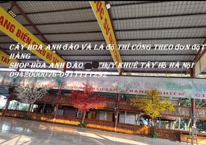 thi-cong-cay-mai-vang-gia-tai-chua-phat-quang