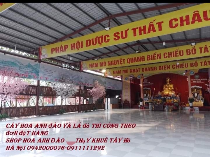 thi-cong-cay-mai-vang-gia-tai-chua-phat-quang