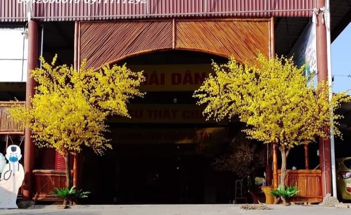 thi-cong-cay-mai-vang-gia-tai-chua-phat-quang