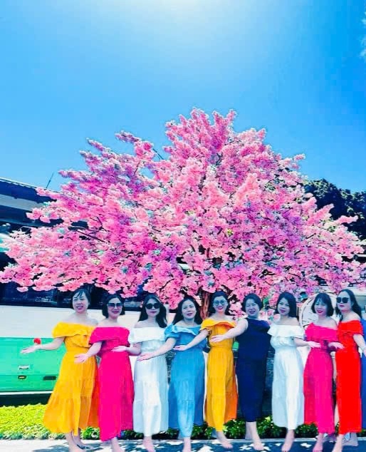 thi-cong-hoa-anh-dao-gia