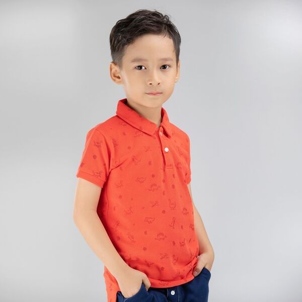 ao-polo-cho-be-trai