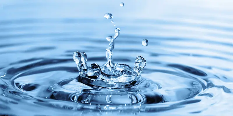 Tại Sao Không Nên Cho Người Khác Mượn Nước Ngày Đầu Năm - Gốm Sứ Phúc Lộc Viên Minh