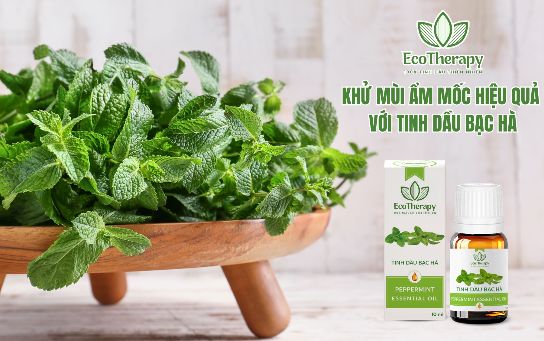 Khử Mùi Ẩm Mốc Hiệu Quả Với Tinh Dầu Bạc Hà