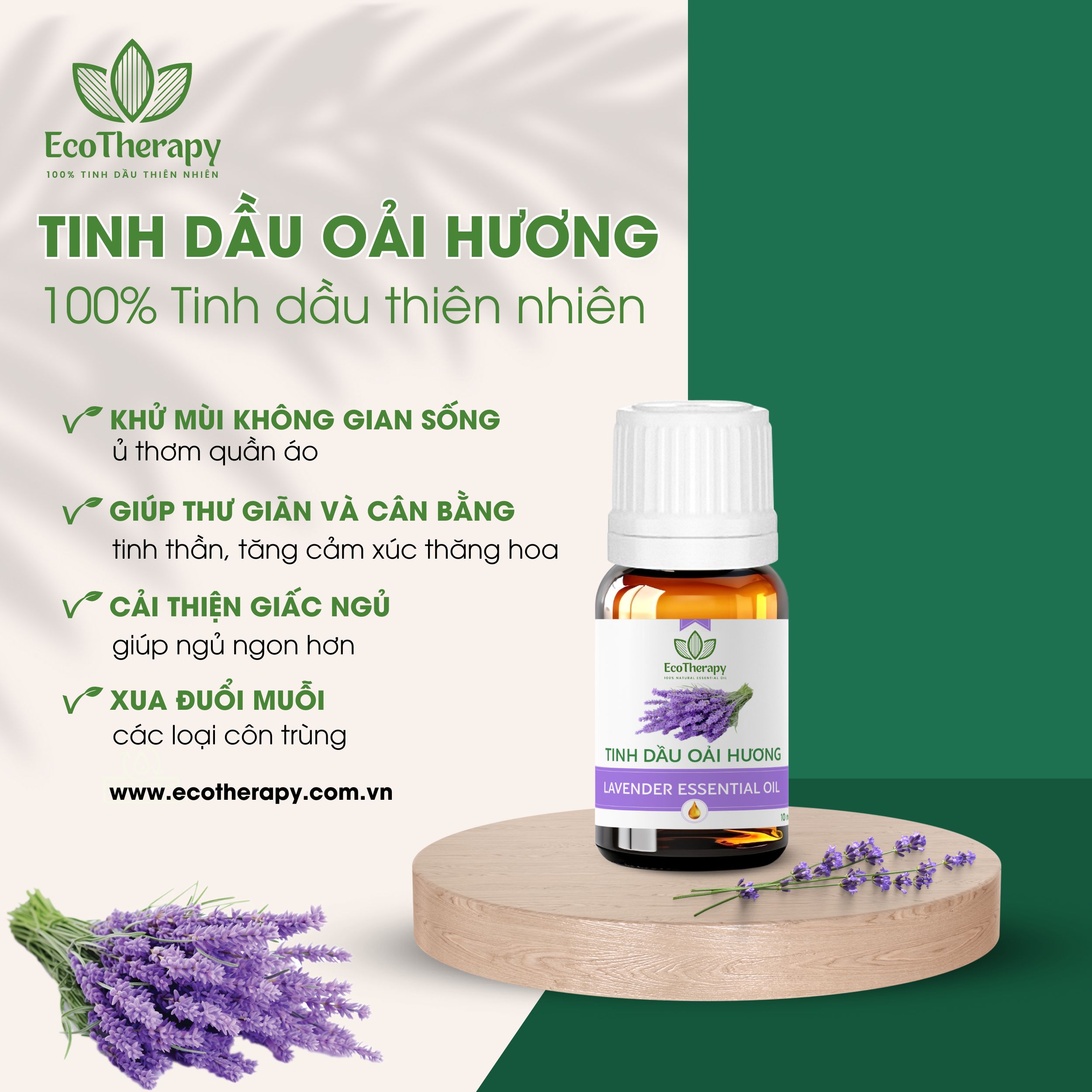 Tạo Không Gian Phòng Khách Sang Trọng Với 7 Loại Tinh Dầu Cao Cấp