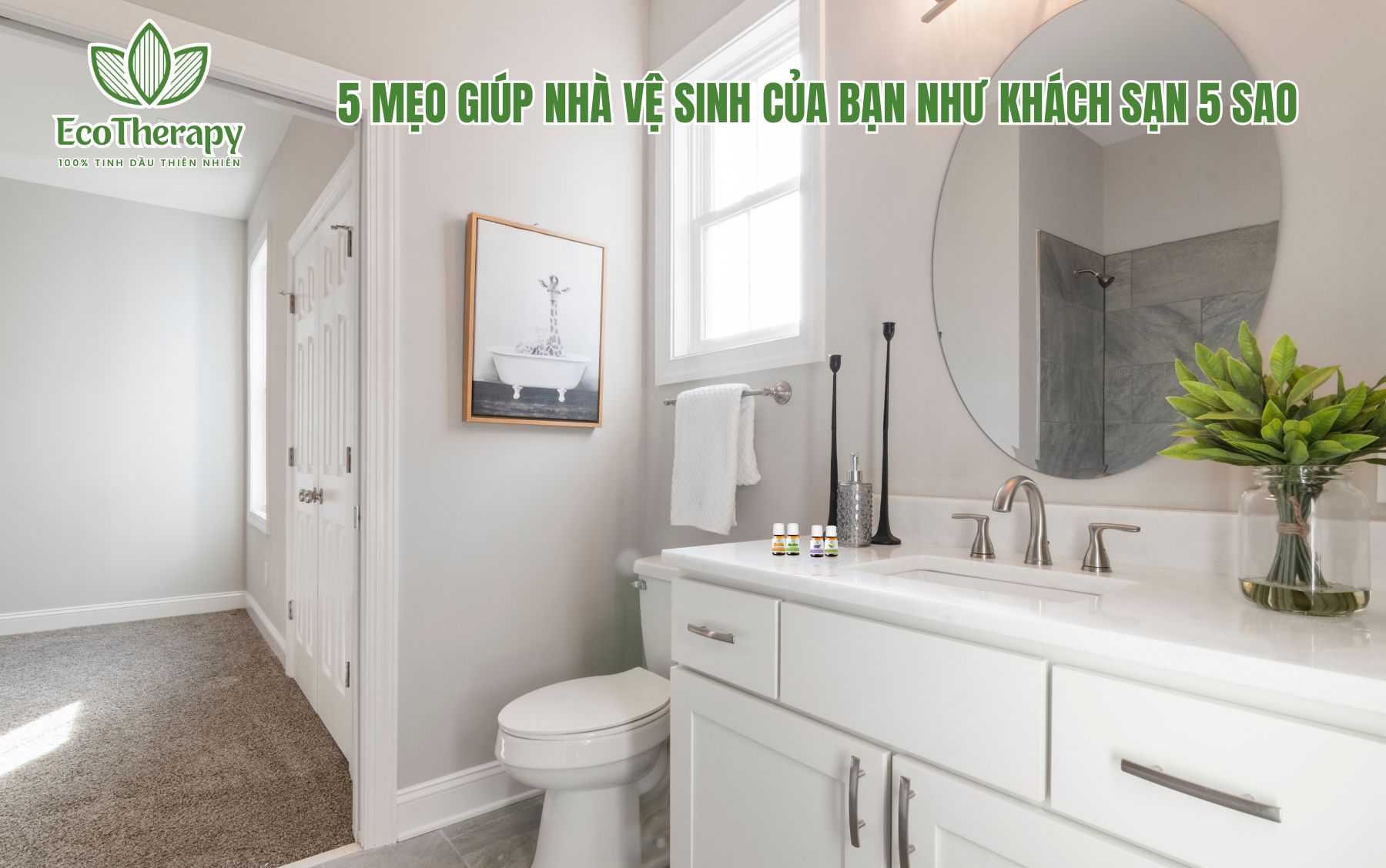 5 Mẹo Giúp Nhà Vệ Sinh Của Bạn Như Khách Sạn 5 Sao