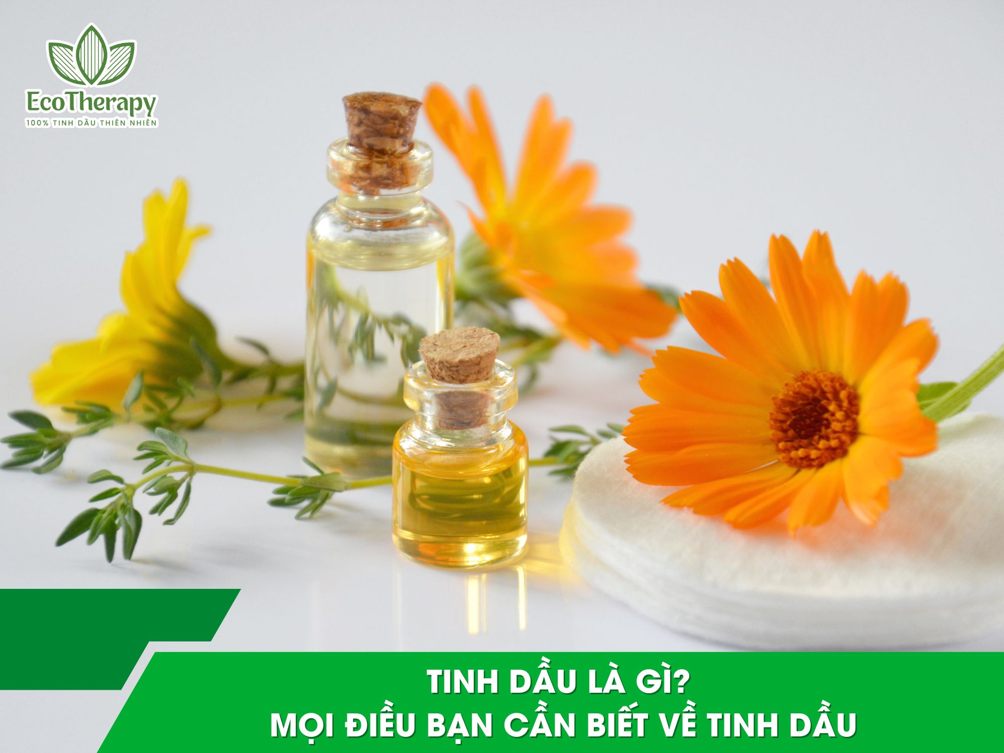Tinh dầu là gì? Mọi điều bạn cần biết về tinh dầu