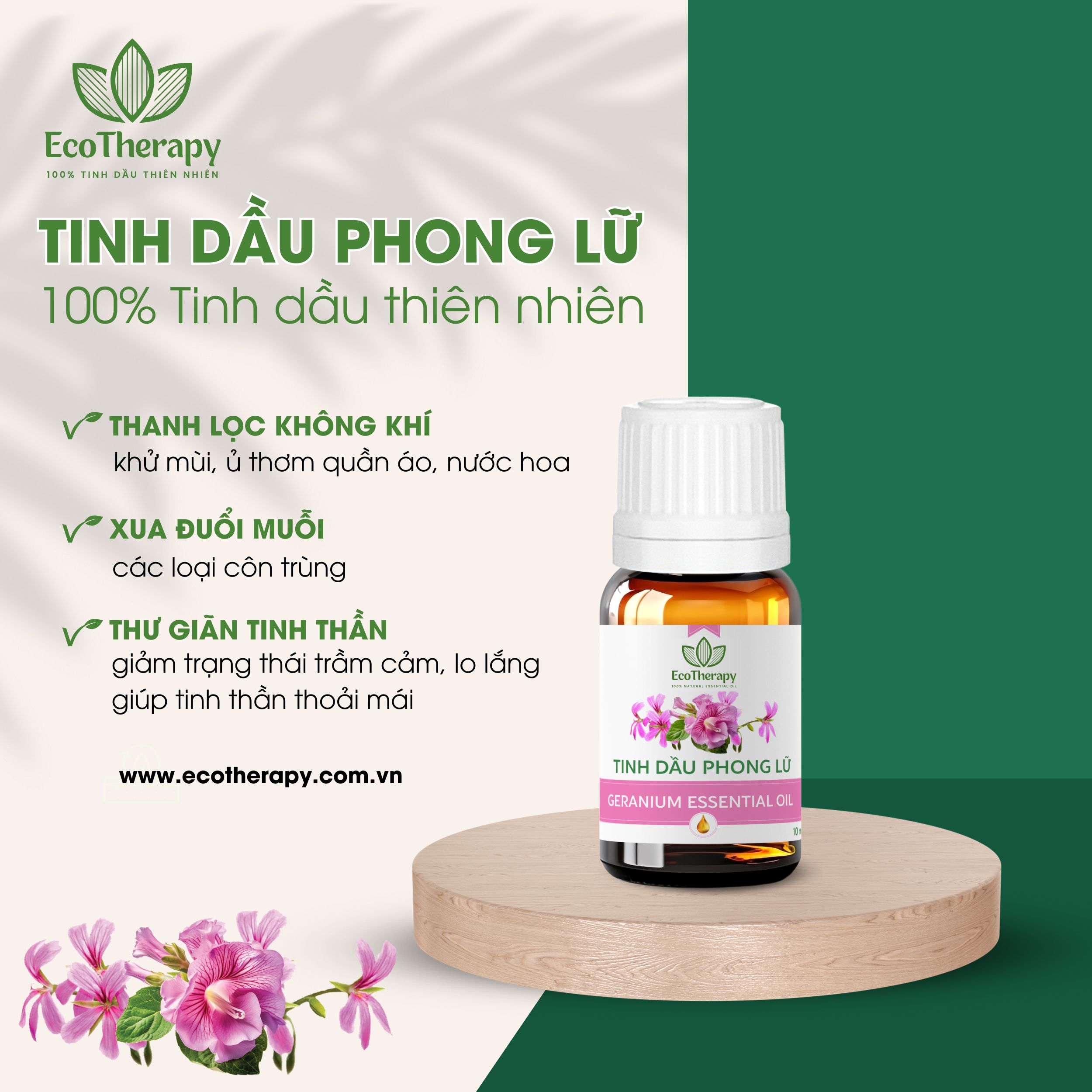Tạo Không Gian Phòng Khách Sang Trọng Với 7 Loại Tinh Dầu Cao Cấp