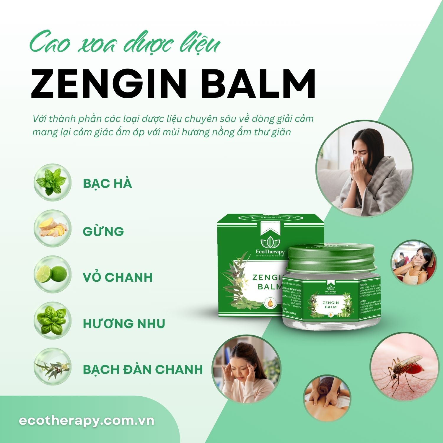 zengin-balm-cao-xoa-giai-cam-tinh-tuy-tu-thien-nhien-giup-bao-ve-suc-khoe-cua-ban